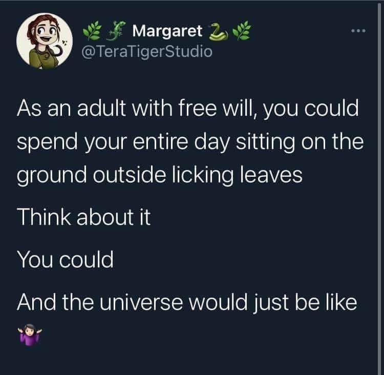 This meme is a humorous take on the idea that people often say "I'm not a morning person" but actually enjoy being lazy. The text on the image reads: "As an adult with free will, you could spend your entire day doing nothing. But think about it... you could be reading a book, you could be learning a new skill, you could be exercising... or you could just sit on the couch and do nothing. And the universe would just be like..."